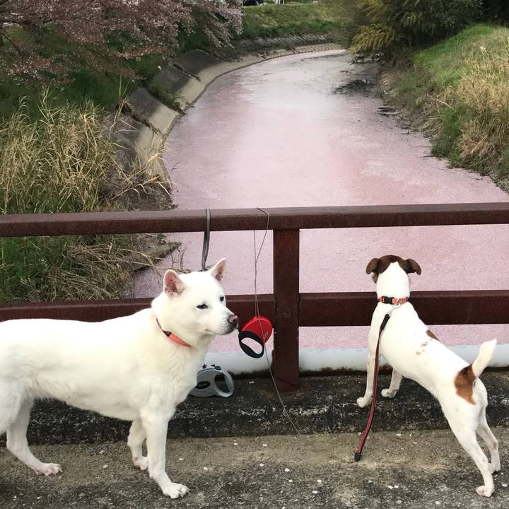 E869d83e 1ad8 46fc bd9f 66b59a52b34d