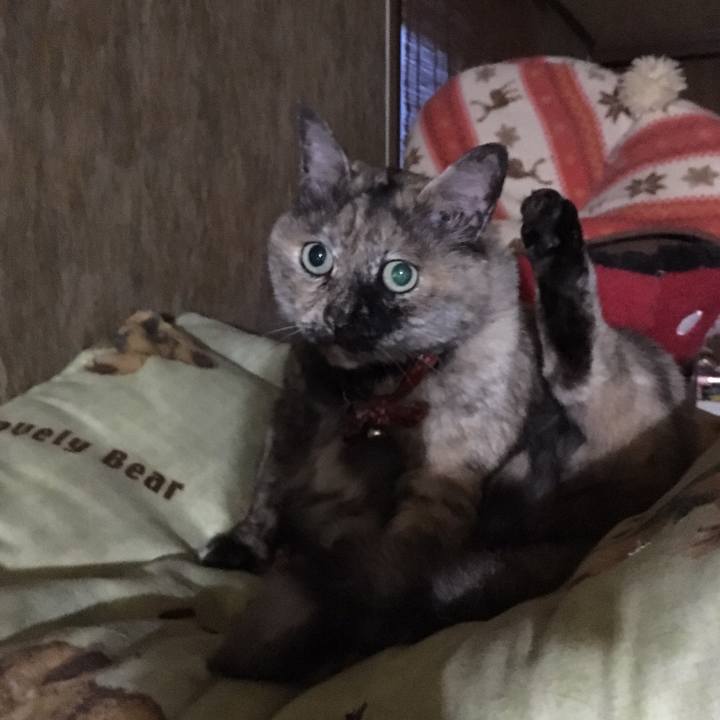 E86a64da 13f0 4a8a a849 c361c7d74d66