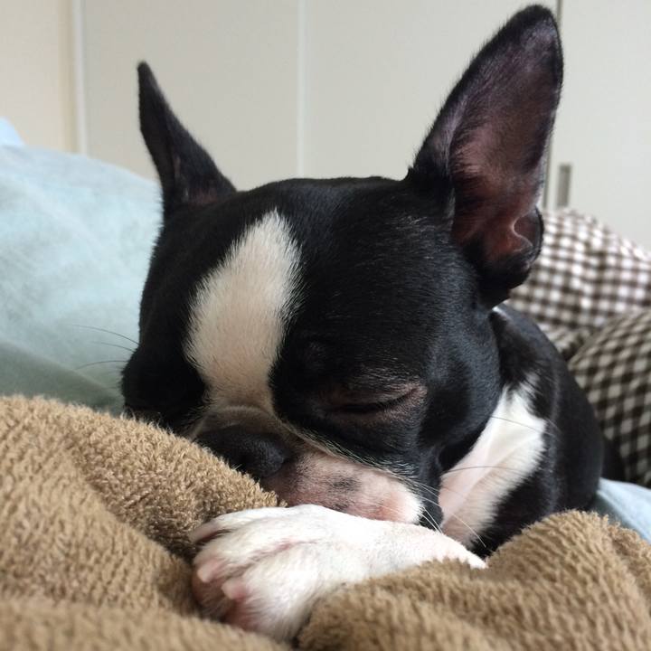 E86b85f3 e877 4a51 a0d3 cf749ed70a1f