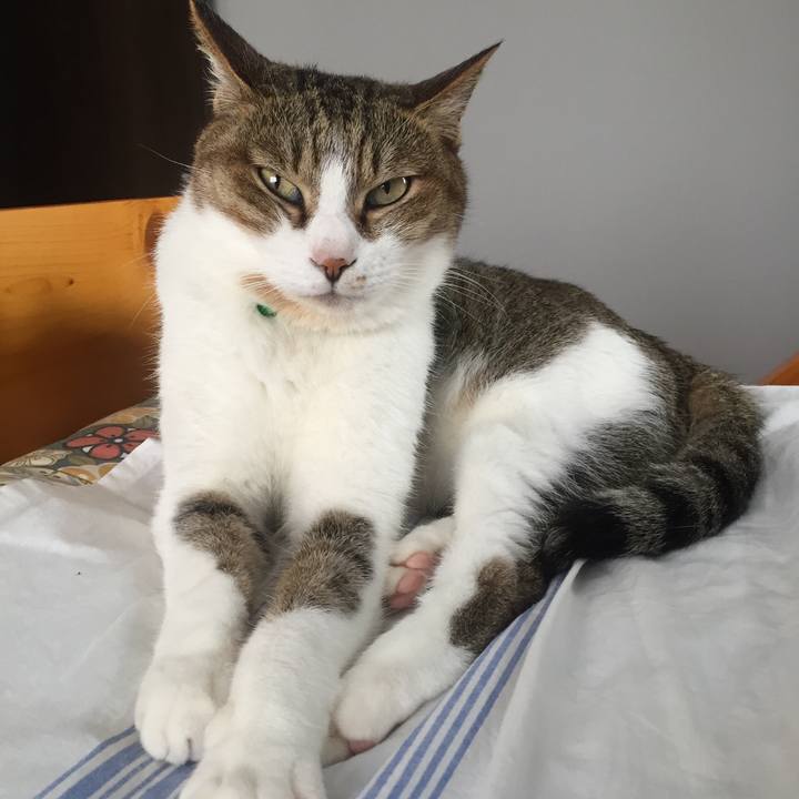 E86ba371 7313 46f6 9e82 c93a8afdc565