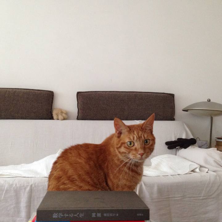 E86bb5bc e2d5 4802 9eaf 63a62335226f