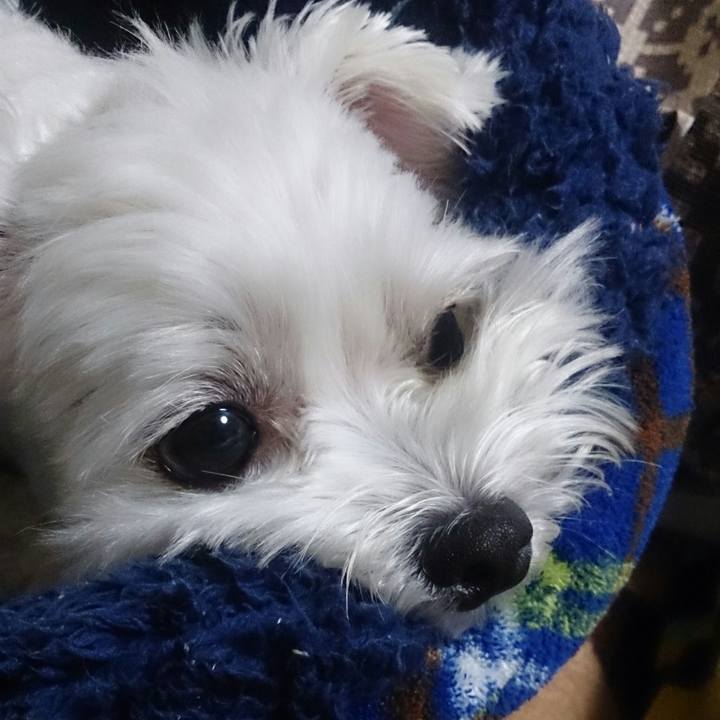 E86c3a8e 82d6 4bee 84bd 441eba78a5e0