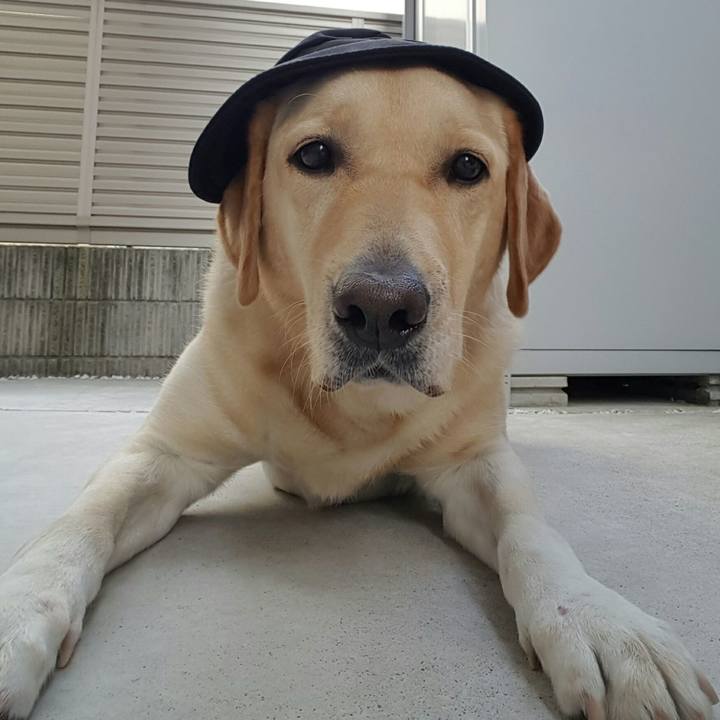 E86c3f95 1bf8 4b50 8bf9 e489357f726f