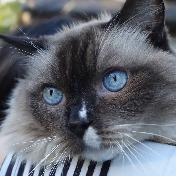 E86c6c29 5d0c 495d b655 10689c5aa194