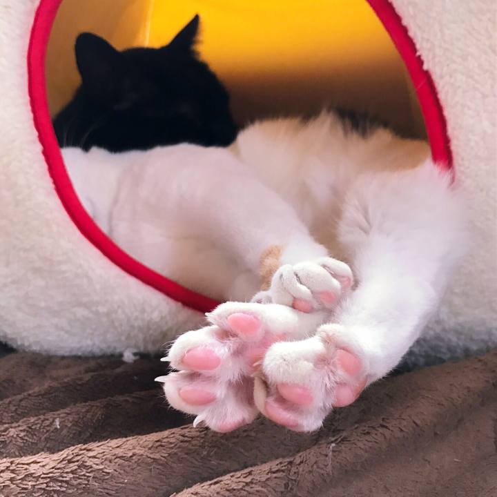 E86cd83b 985f 4891 8d91 0cd05e3484c2