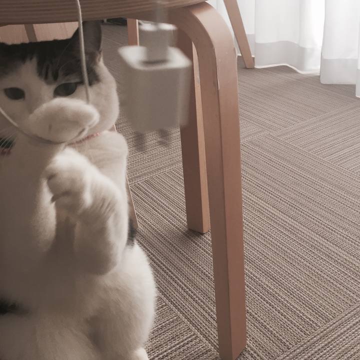 E86ce931 03c6 4a6d a0b0 f81fc5e6e76d