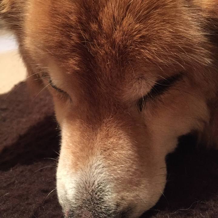 E86d1381 c7a9 4a54 9688 cfe40f21a75b