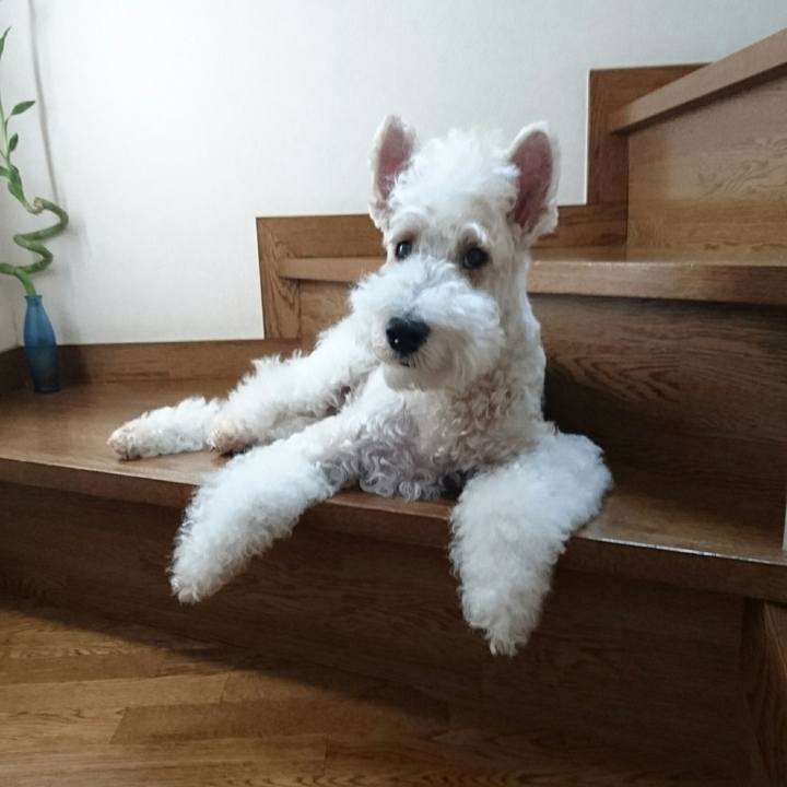 E86d5013 26b6 441b 803d e4339daffd8d