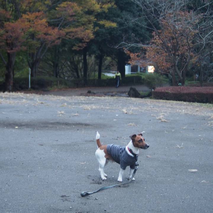 E86d68a0 77b8 438c 98ed 8b91d2cb8658