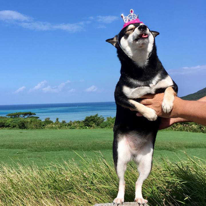 E86d7c27 c779 45a9 b86e bbd308a21f61