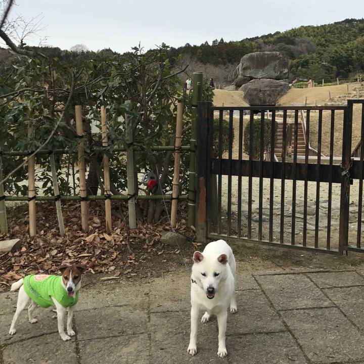 E86e840c 94cf 486c b546 be26af57f005