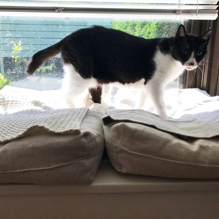 E86e948a 787e 4d34 89ca 98408fa9db08