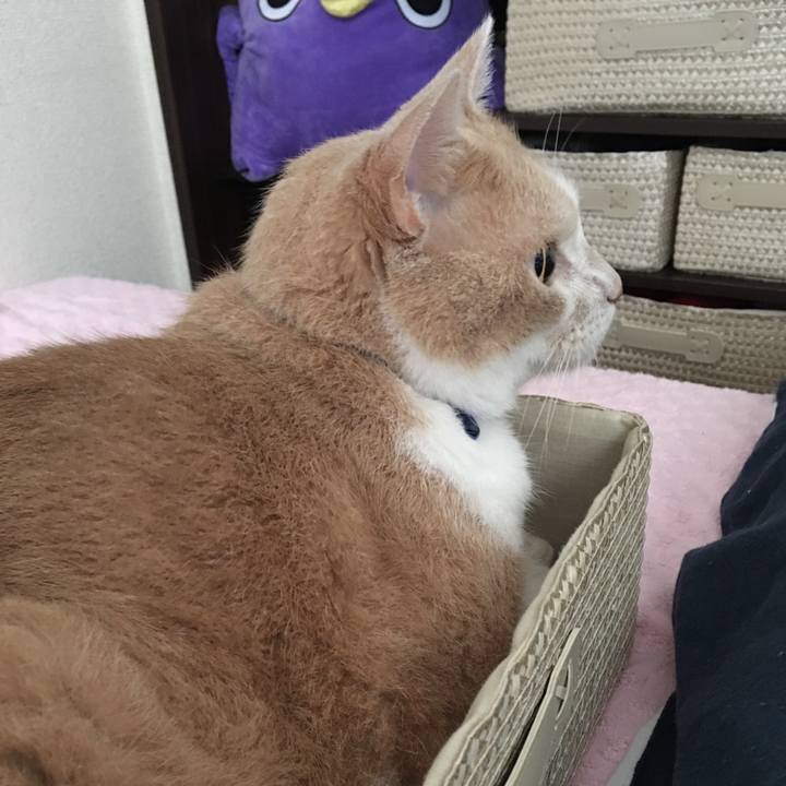 E86f8bfc 1b33 4fb5 b784 42c6c255d8d2