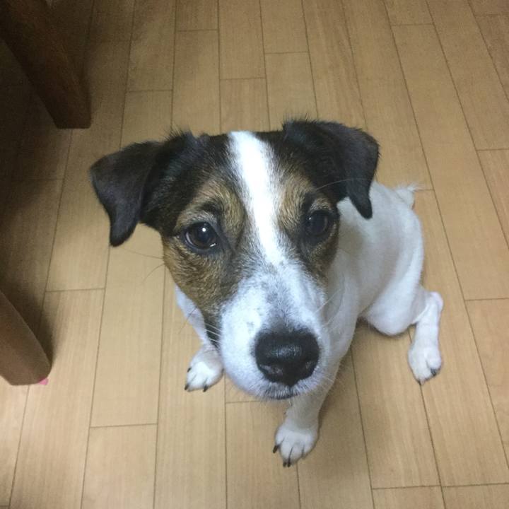 E870166b ecdf 4c34 a93c 0a948ac986eb