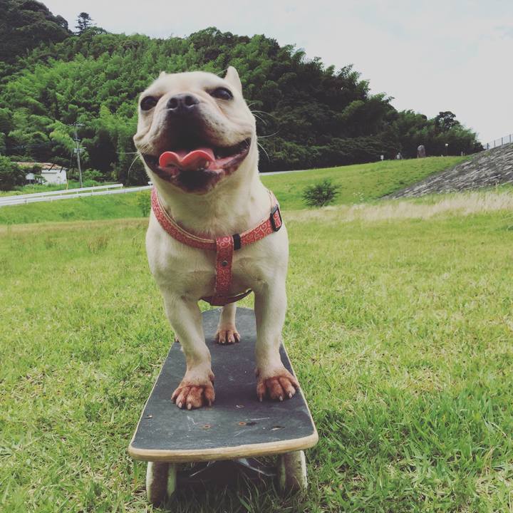 E8703357 71a5 4821 ab37 c5f532ff5c60