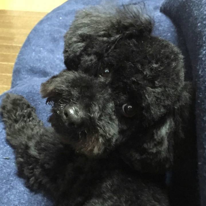 E8703eff dd86 4997 b4ac 0173f1952d56