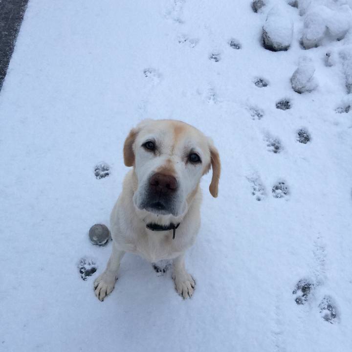 E8705a29 be6c 4385 a393 442a41bf980b