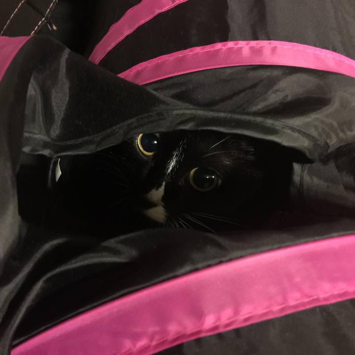 E8708e92 3a8b 4235 8934 8d70a64bf442