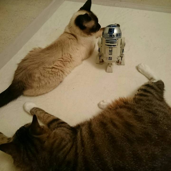 E870dcb2 b02e 4d8f 82f4 2b2f287e4b5e