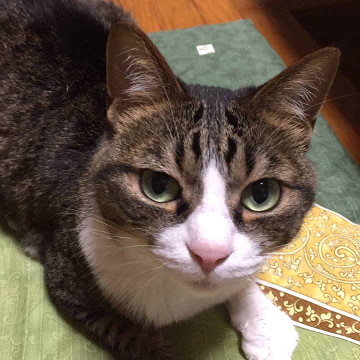 E870e8dd db02 4b4e bd04 42aeb0d2ba34