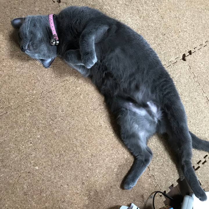 E8714d37 c1fc 4318 849e 27ee33eb1ecc