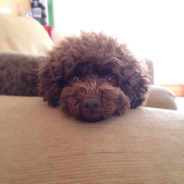 E87266d4 796a 46e6 8c64 89b1ee6a7c3c