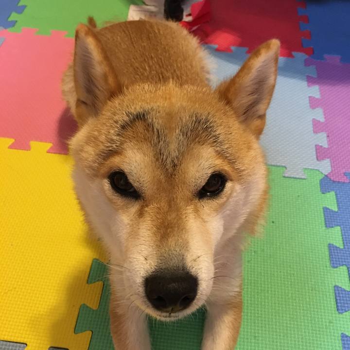 E8738460 cb48 4fe2 a38c 6774ea348c0b