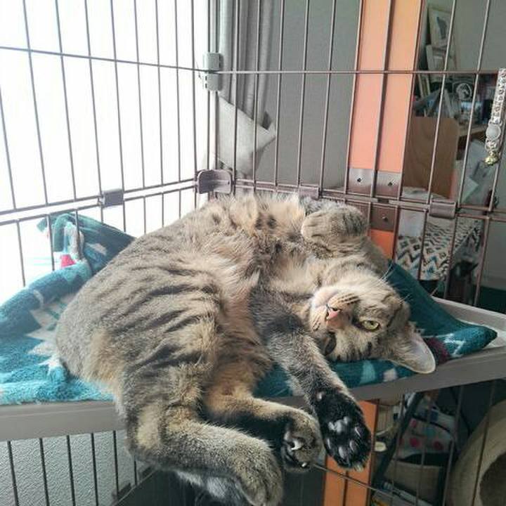 E873a49c abe6 43c8 a33f d3ad8e35bea6