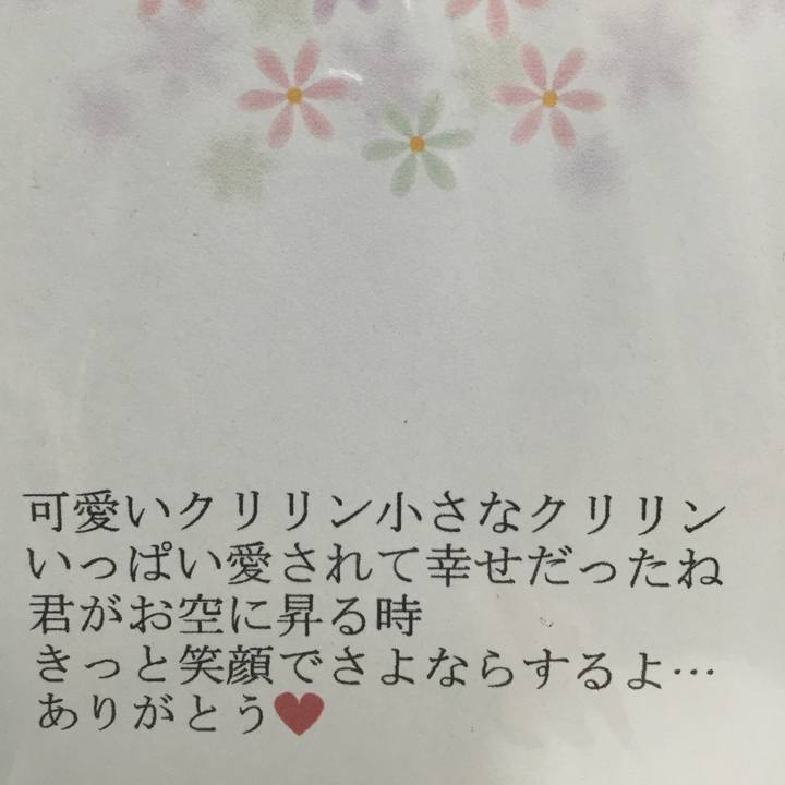 E873c9e8 9a89 4960 8eef 31312e746f05