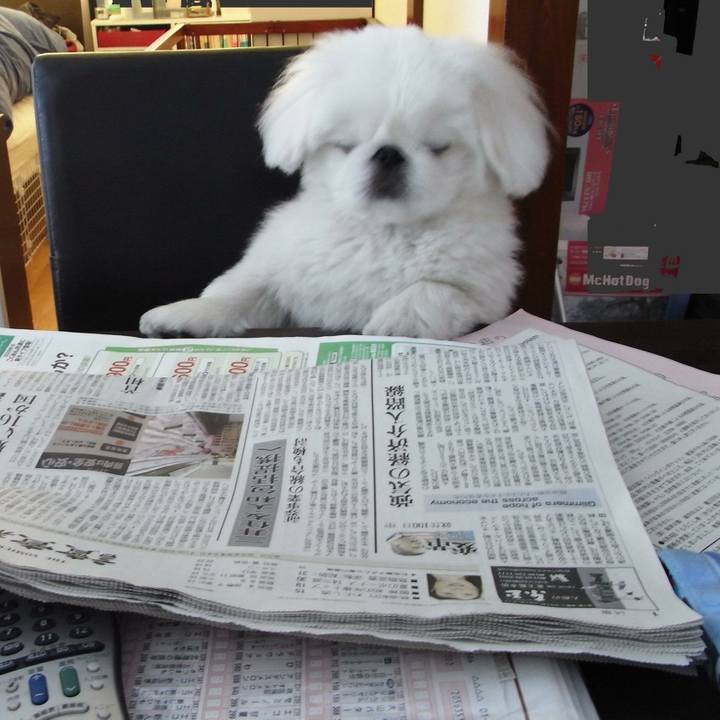 E874d38e 1d74 4a2a bf50 2f91fb19e041