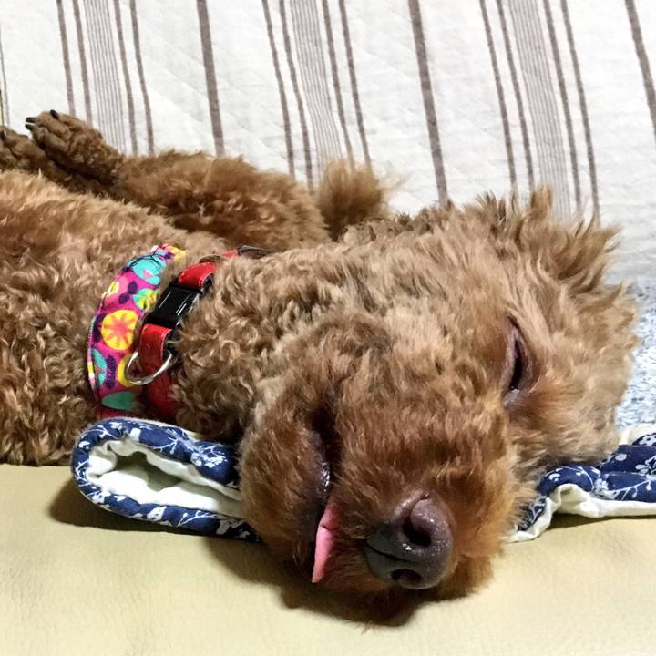 E8751159 de9e 44a7 9e73 c5bdb6d36b95