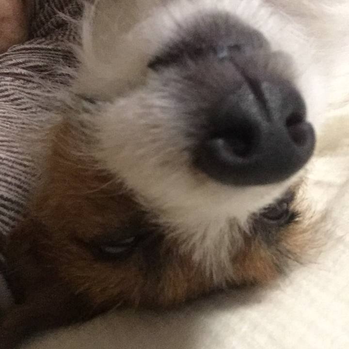 E875734f b216 4d04 bd33 d6e150366213