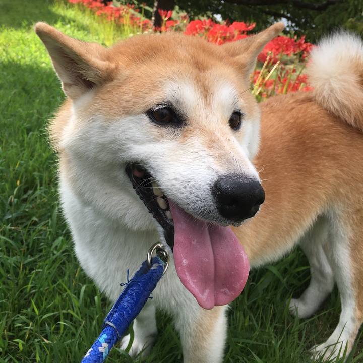 E875c130 3b04 4910 a983 97af2c81d310