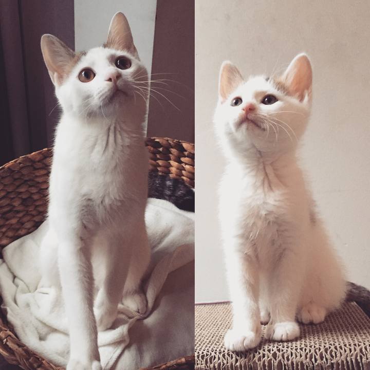 E875fec6 eed4 40d1 8351 dc4f635cb100