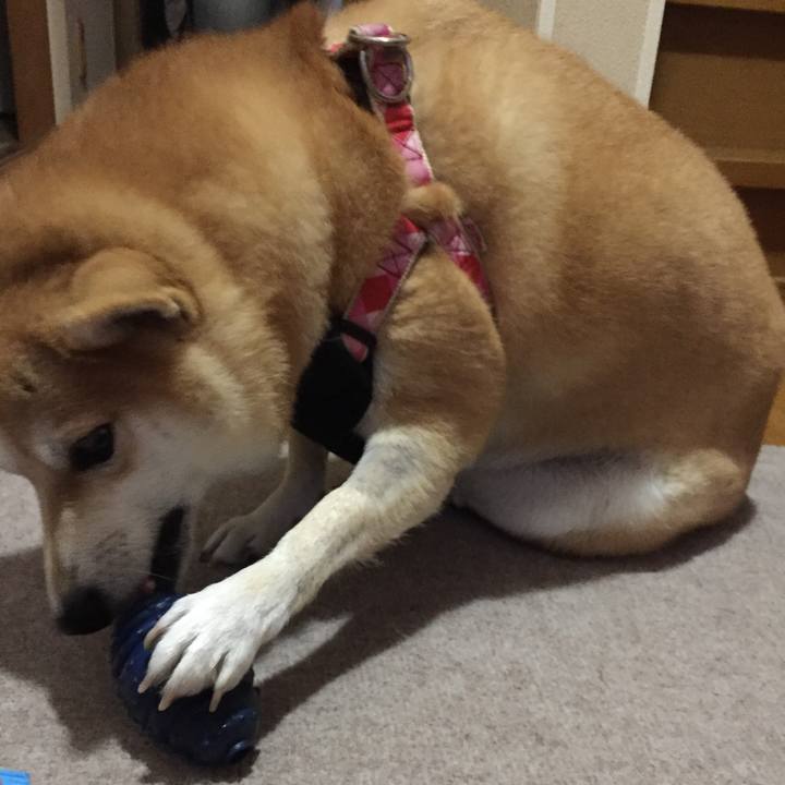 E87612a6 65ad 4bad a47e 29da7c37ebb5