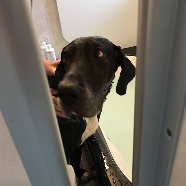 E876e727 092f 4f38 902c 78bc9e147bc8