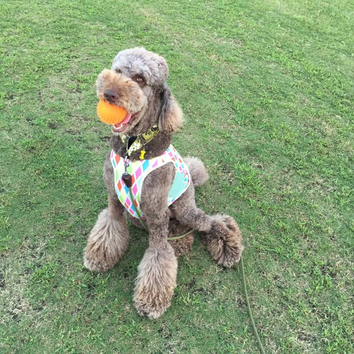 E877247e 473d 4767 b960 2ee3a23d3f84