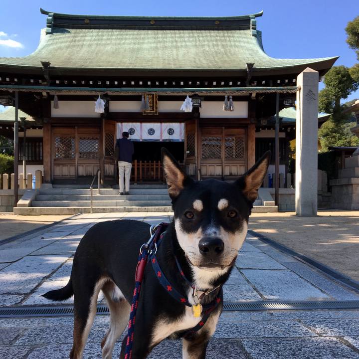 E877412f c973 4027 bb76 a4bc7d95f2ca