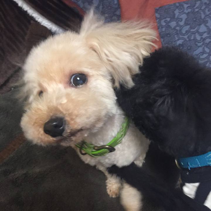 E8775cc0 5e52 4c47 9ca9 959793339caf