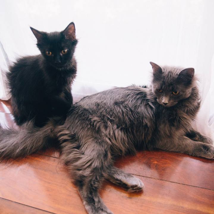 E877715e 3241 48dd 8cb6 b031563d3c85