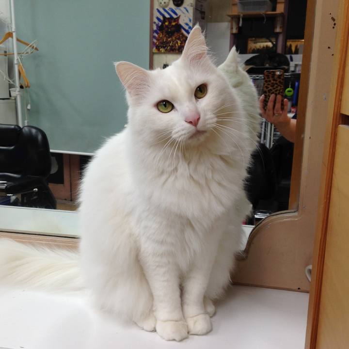 E877dbc5 8636 4f8f b923 e821255904e8