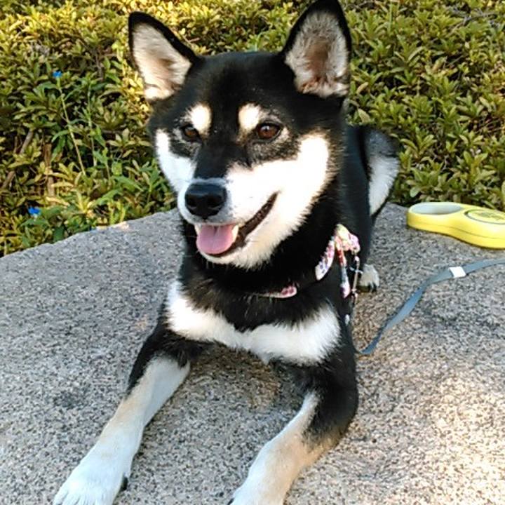 E87875eb 65a6 4113 b8dc daf005ffadeb