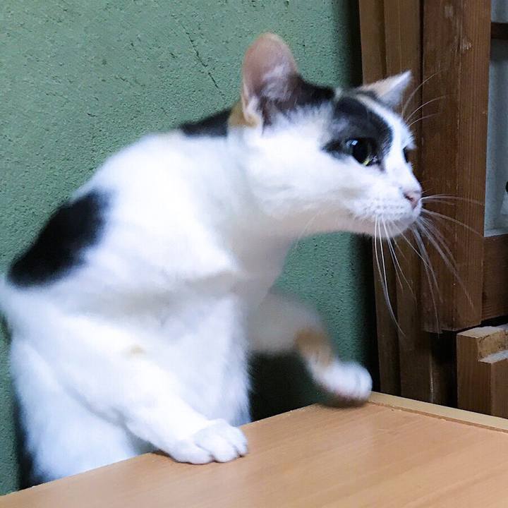 E8792051 53a9 4a32 a1d1 8260aeacd824