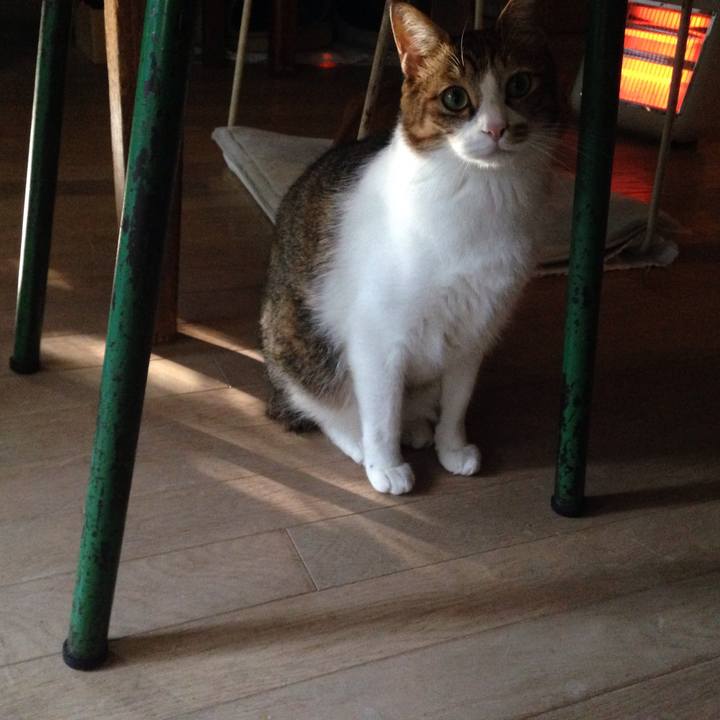 E87a2c1b b0be 4690 9e25 e9beef10c397