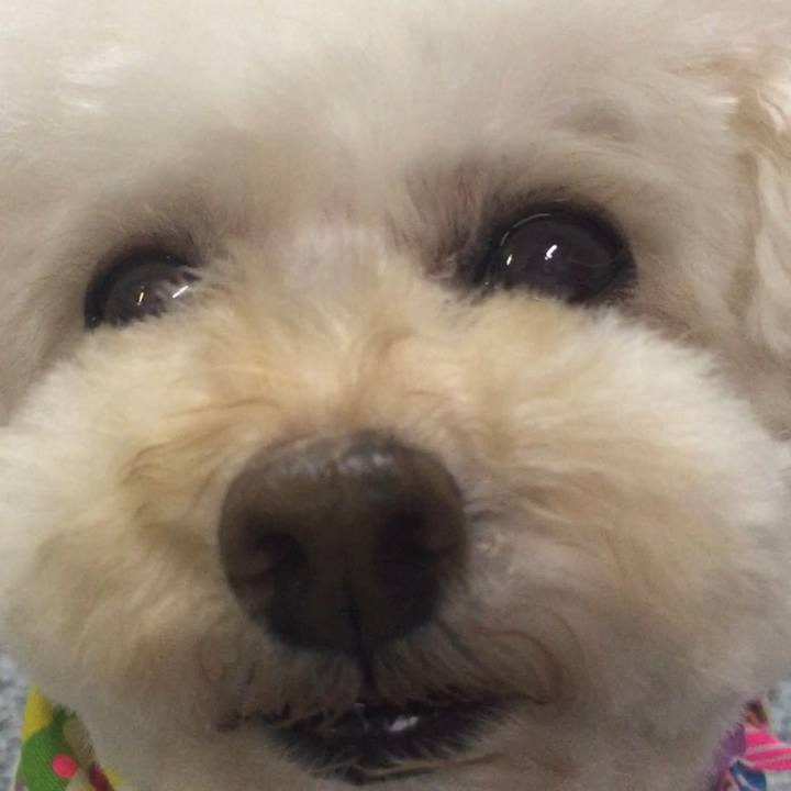 E87b34dc 4e68 4812 99b9 e109b1d259af