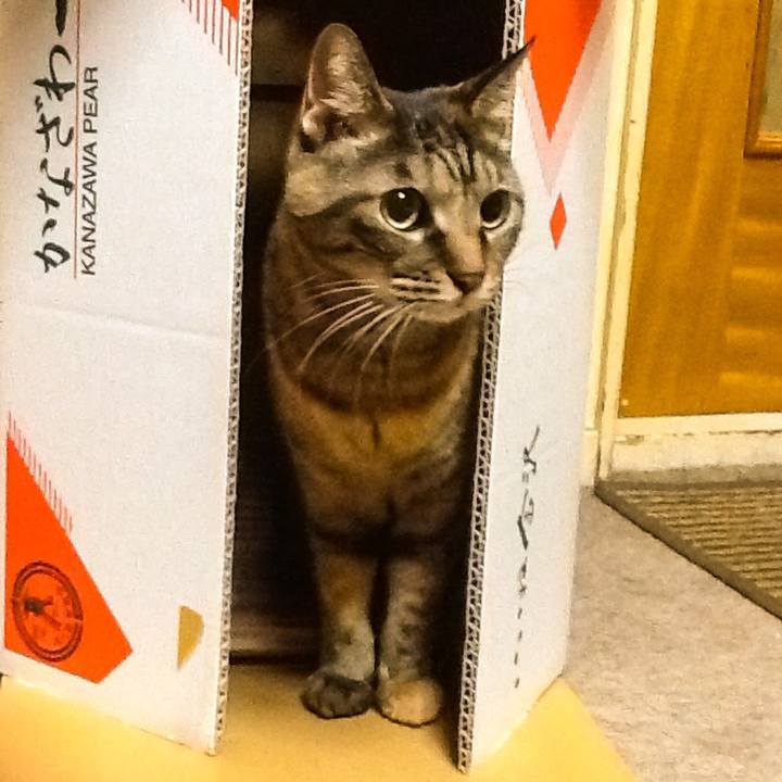 E87b8569 e85a 4021 ab3c 5b8f466c58c1