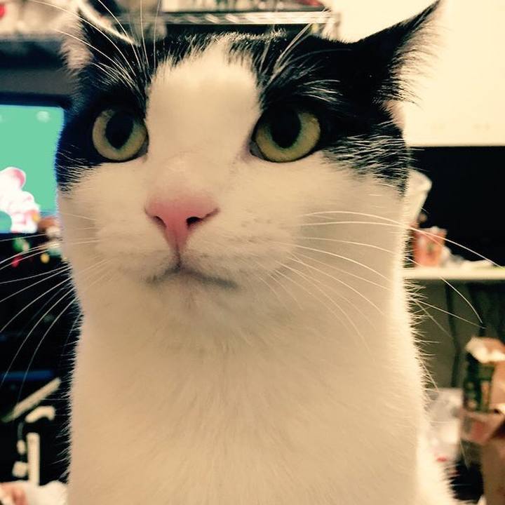 E87b91a5 2f27 4e5b a7c3 92cb25aae7a0