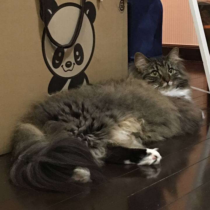 E87cc27f 8257 43e3 b0de 445a385ec706