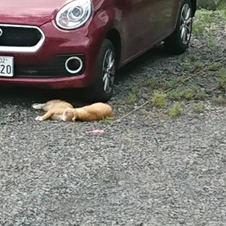 E87d21c4 5c16 4ed4 859a 0b3fe2374b83