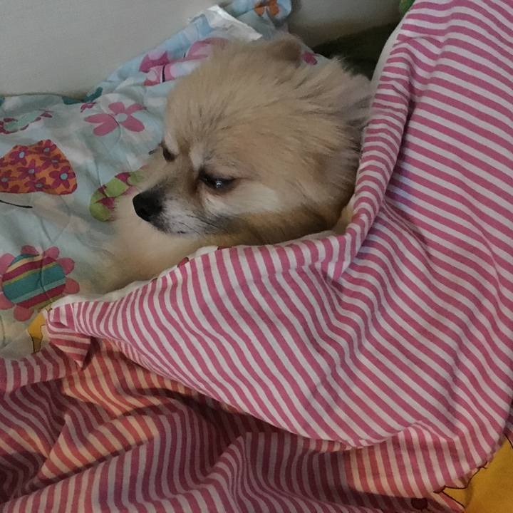 E87d5ebe 9911 4d75 b69c d38bbdc897fd